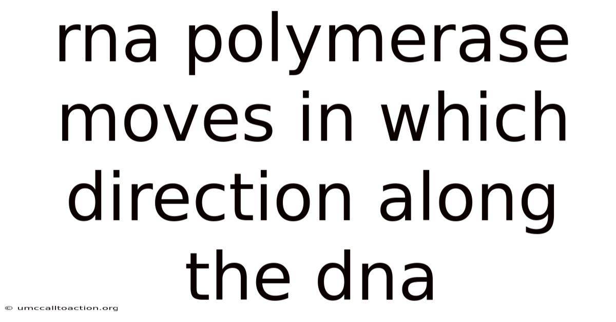 Rna Polymerase Moves In Which Direction Along The Dna