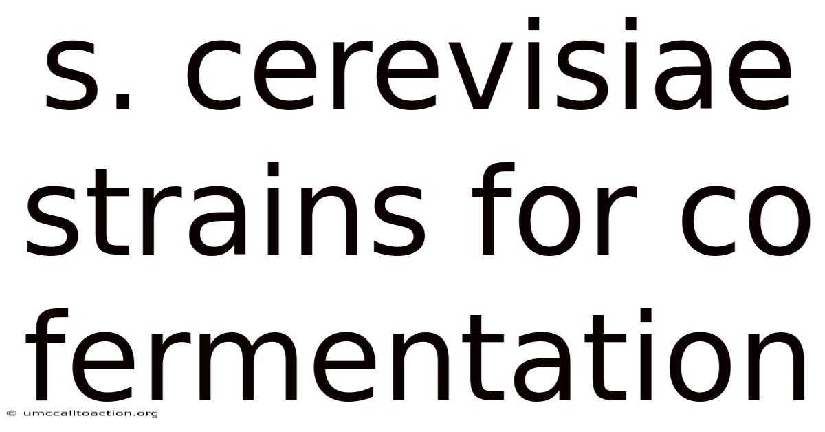 S. Cerevisiae Strains For Co Fermentation