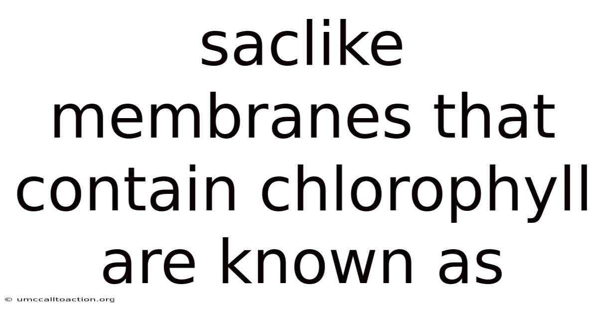 Saclike Membranes That Contain Chlorophyll Are Known As