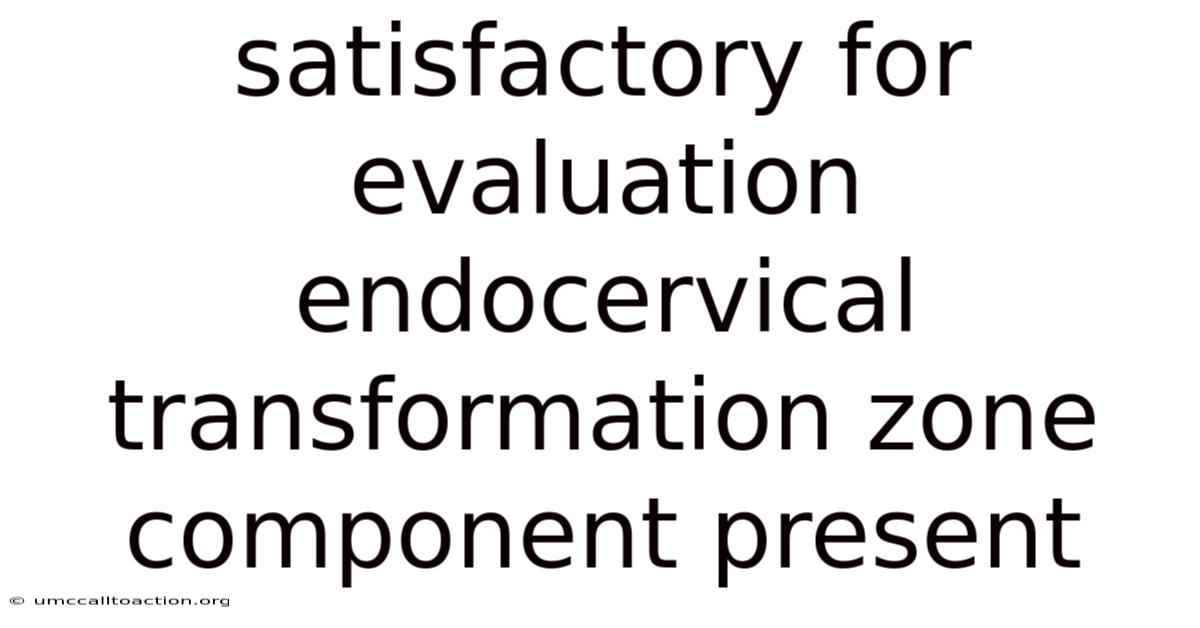Satisfactory For Evaluation Endocervical Transformation Zone Component Present