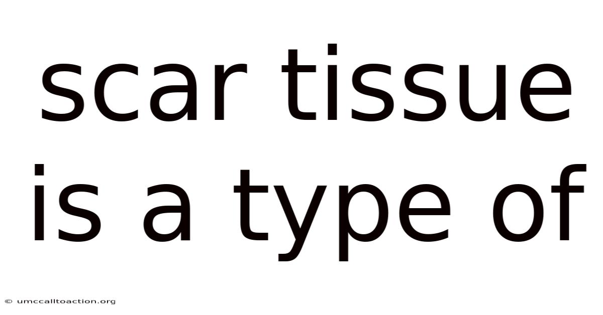Scar Tissue Is A Type Of