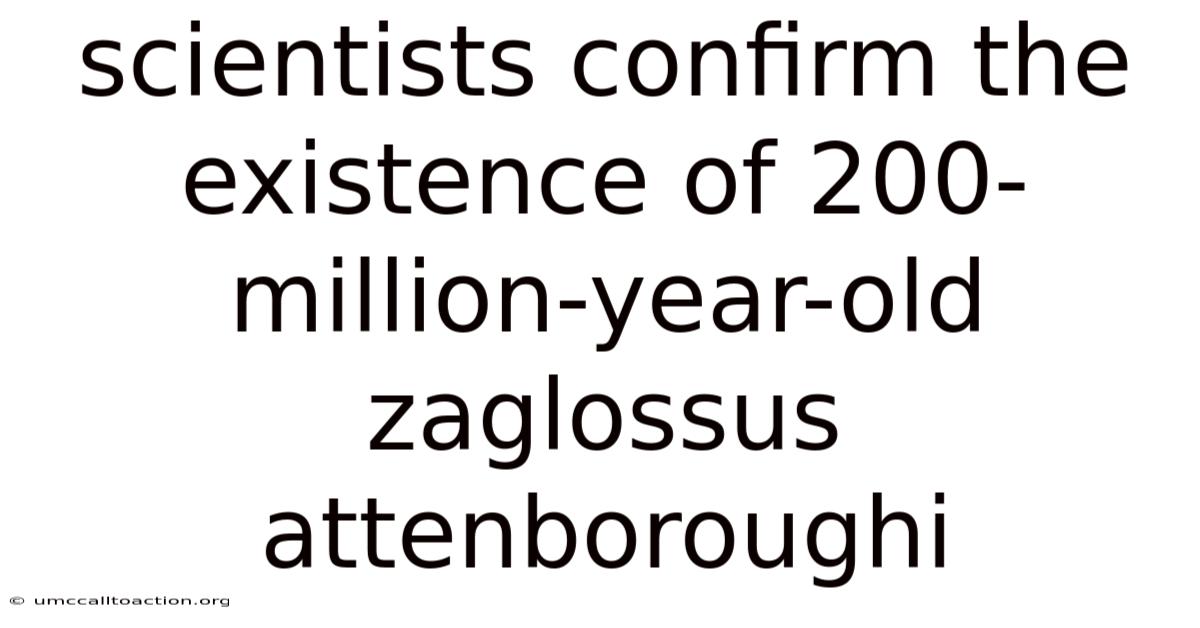 Scientists Confirm The Existence Of 200-million-year-old Zaglossus Attenboroughi