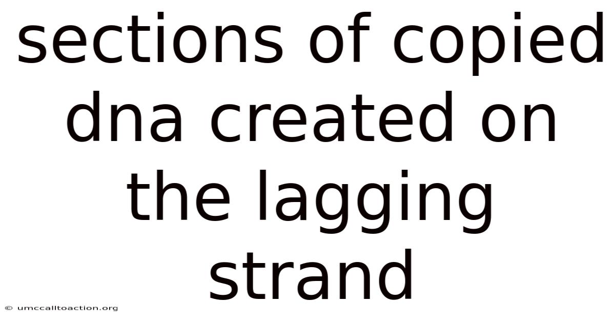 Sections Of Copied Dna Created On The Lagging Strand