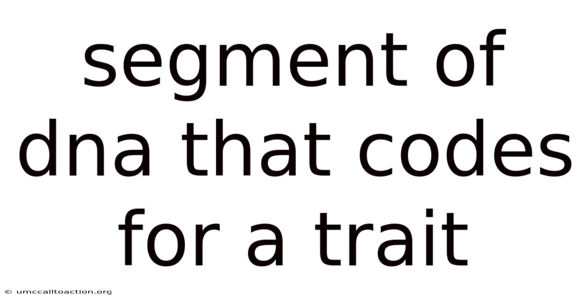 Segment Of Dna That Codes For A Trait