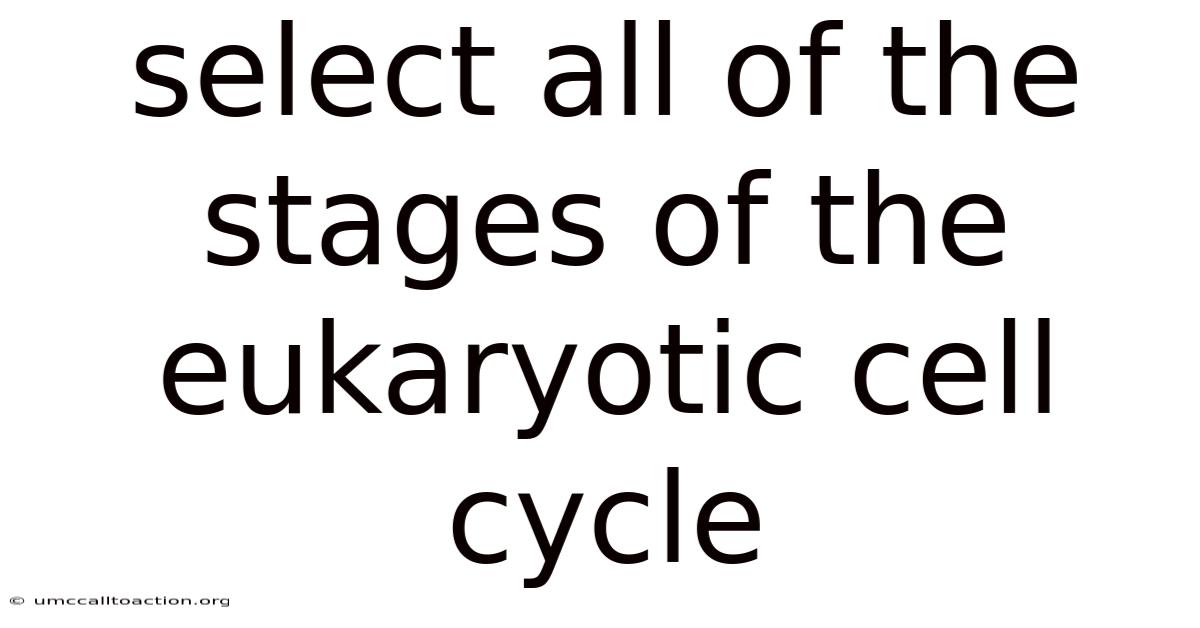 Select All Of The Stages Of The Eukaryotic Cell Cycle