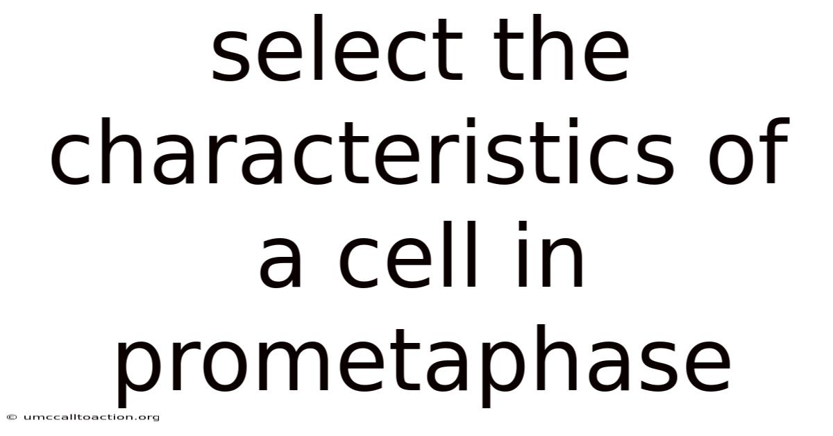 Select The Characteristics Of A Cell In Prometaphase
