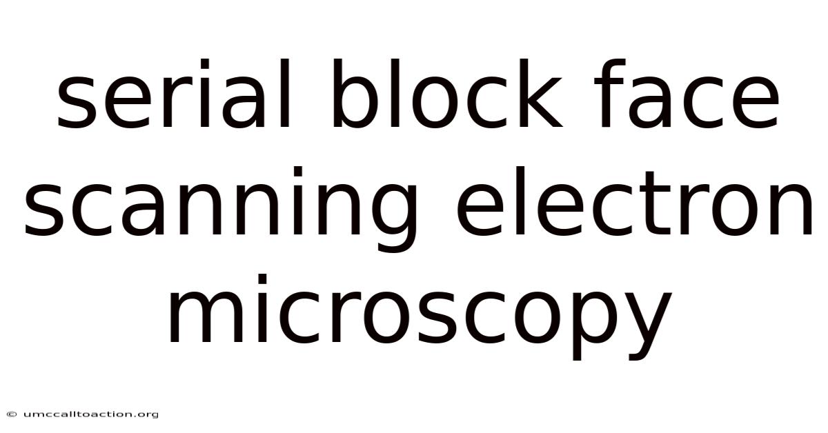 Serial Block Face Scanning Electron Microscopy