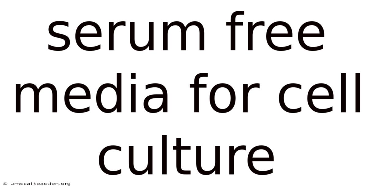 Serum Free Media For Cell Culture