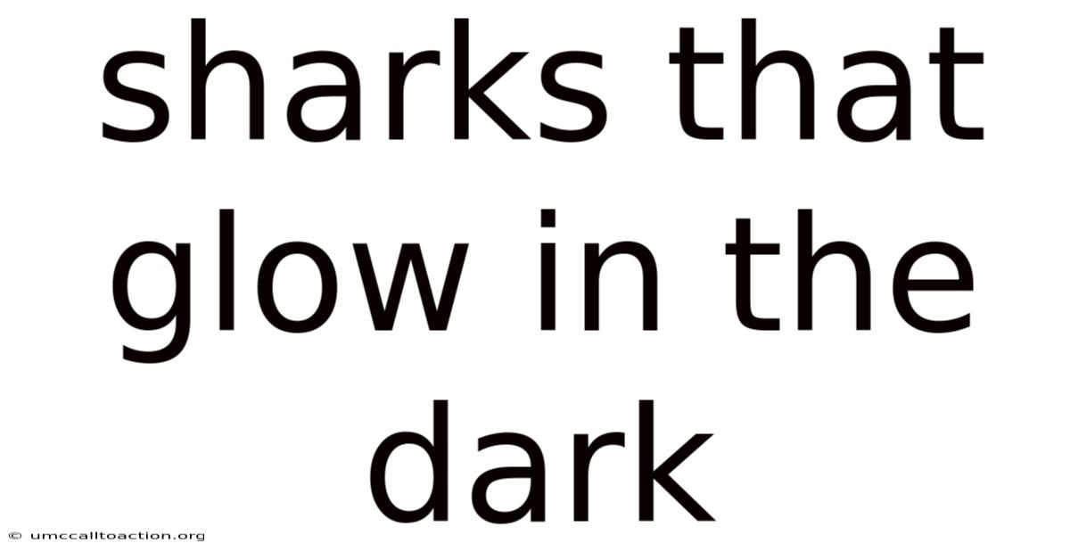 Sharks That Glow In The Dark