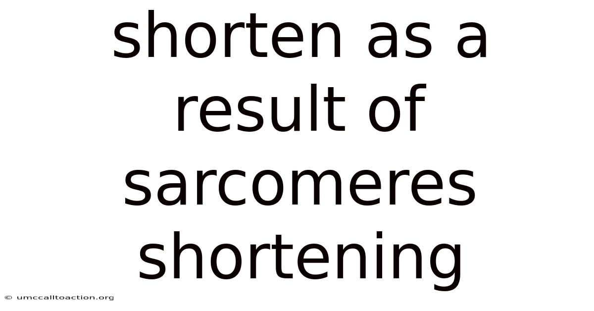 Shorten As A Result Of Sarcomeres Shortening