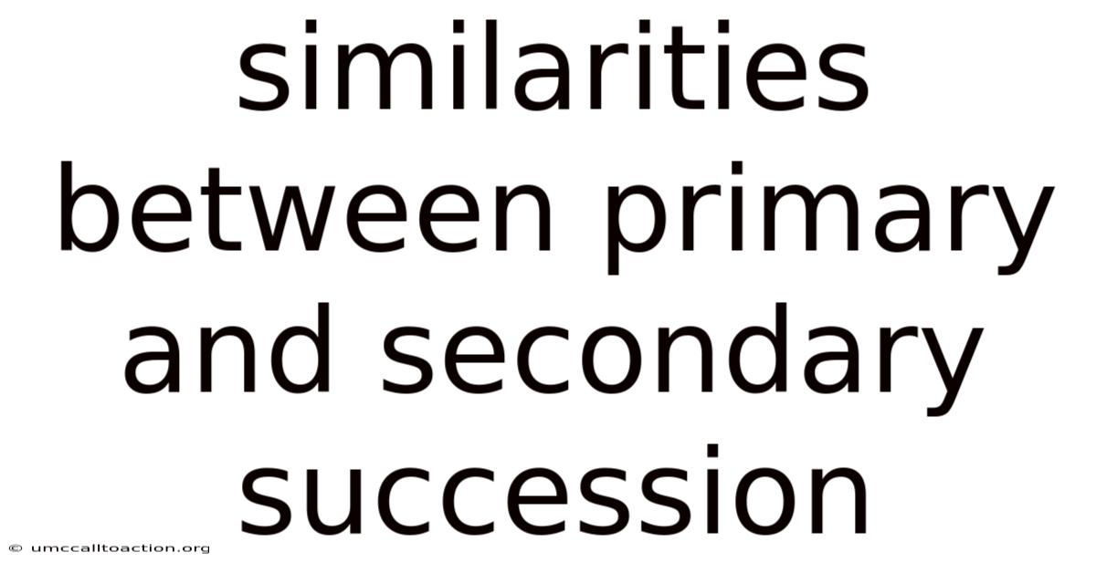 Similarities Between Primary And Secondary Succession