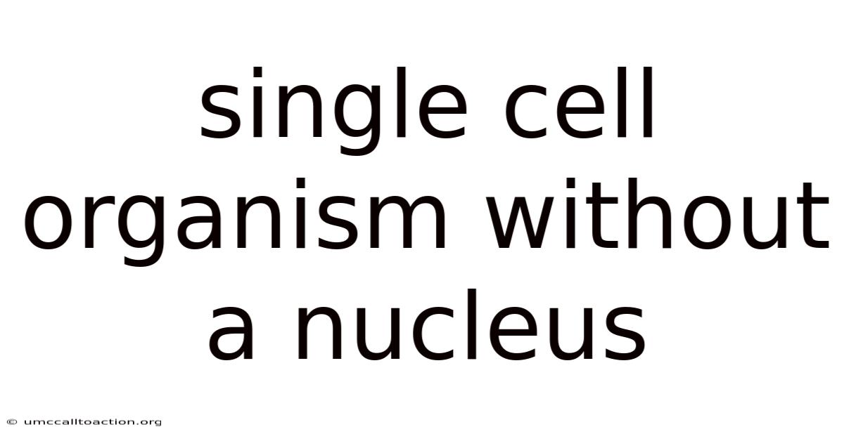 Single Cell Organism Without A Nucleus