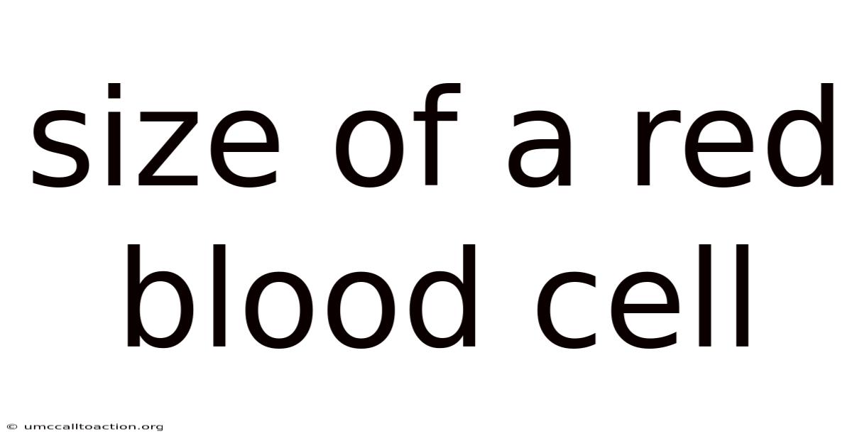 Size Of A Red Blood Cell