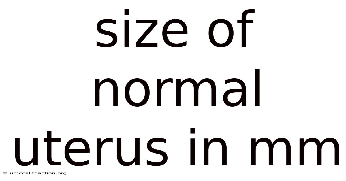 Size Of Normal Uterus In Mm