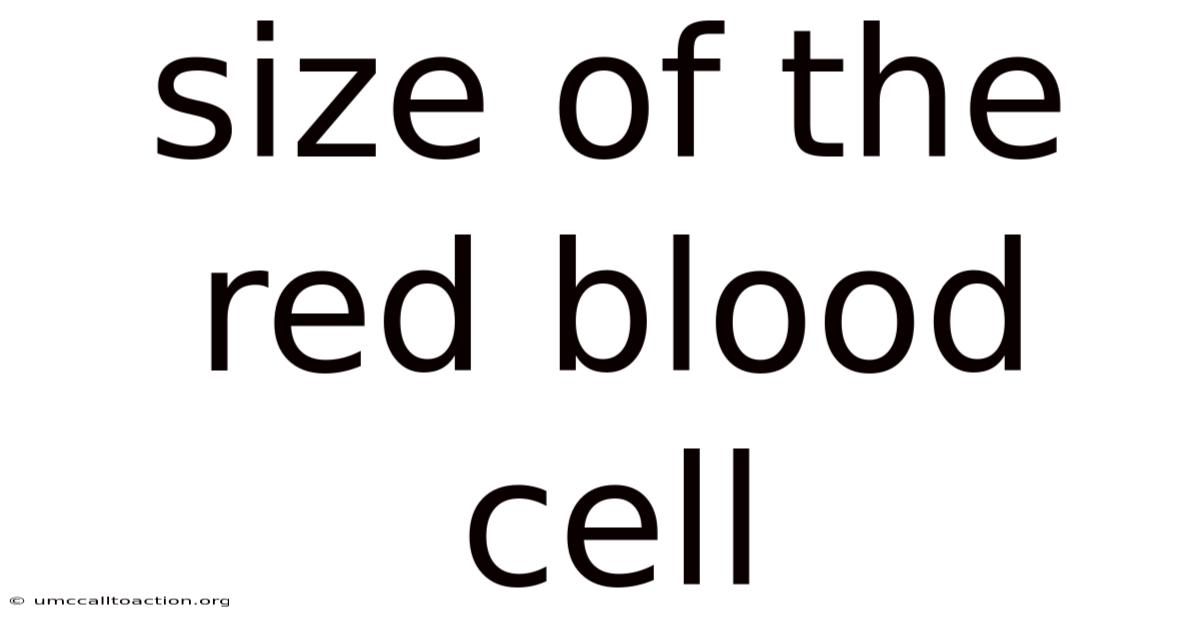 Size Of The Red Blood Cell