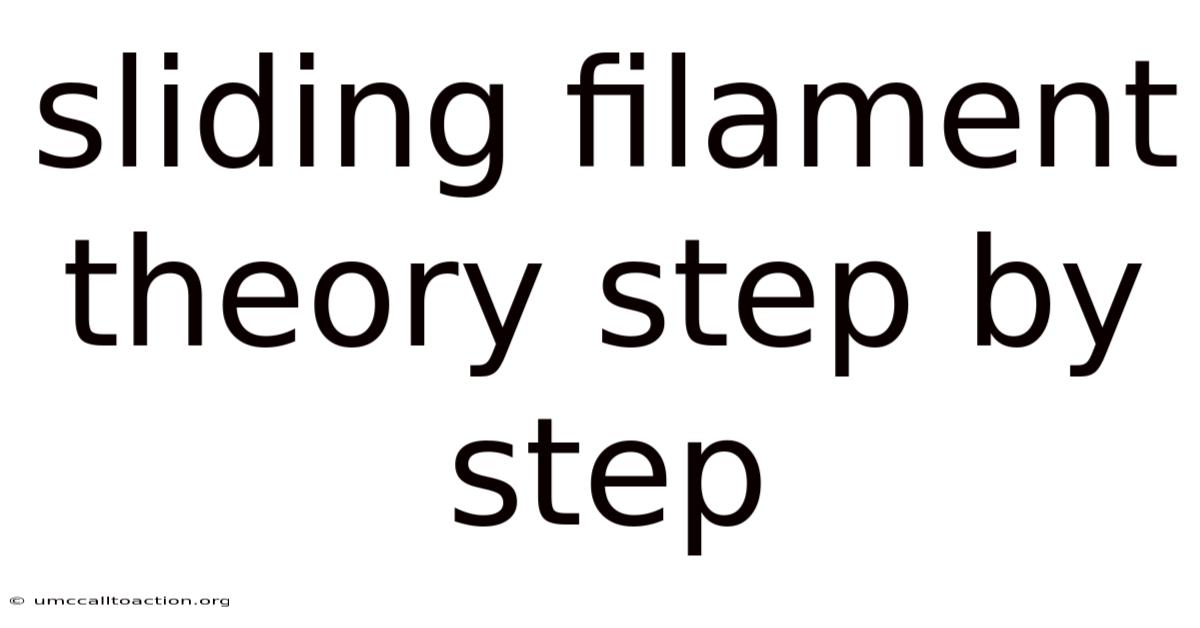 Sliding Filament Theory Step By Step