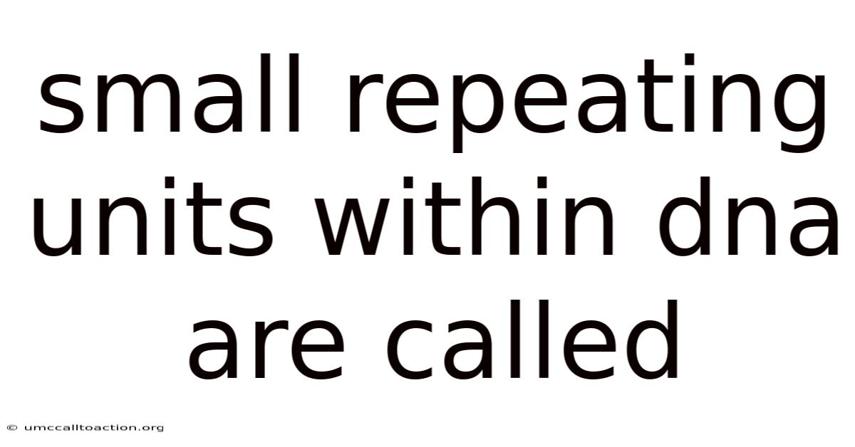 Small Repeating Units Within Dna Are Called