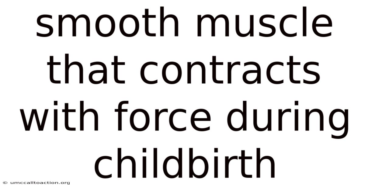 Smooth Muscle That Contracts With Force During Childbirth