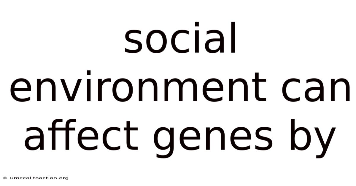 Social Environment Can Affect Genes By