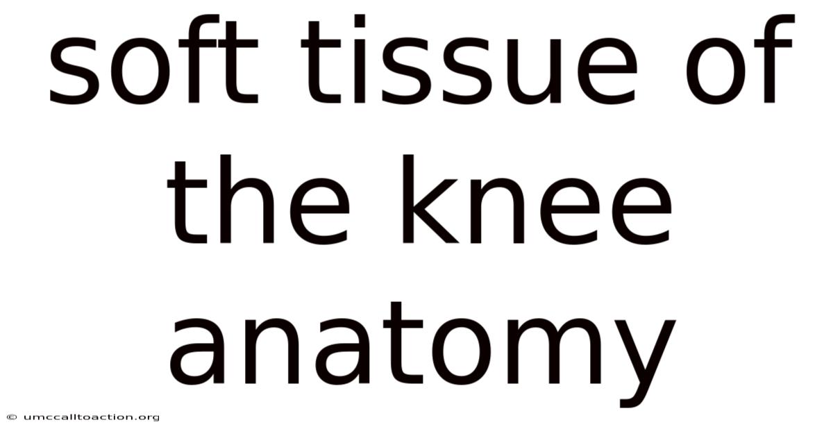 Soft Tissue Of The Knee Anatomy