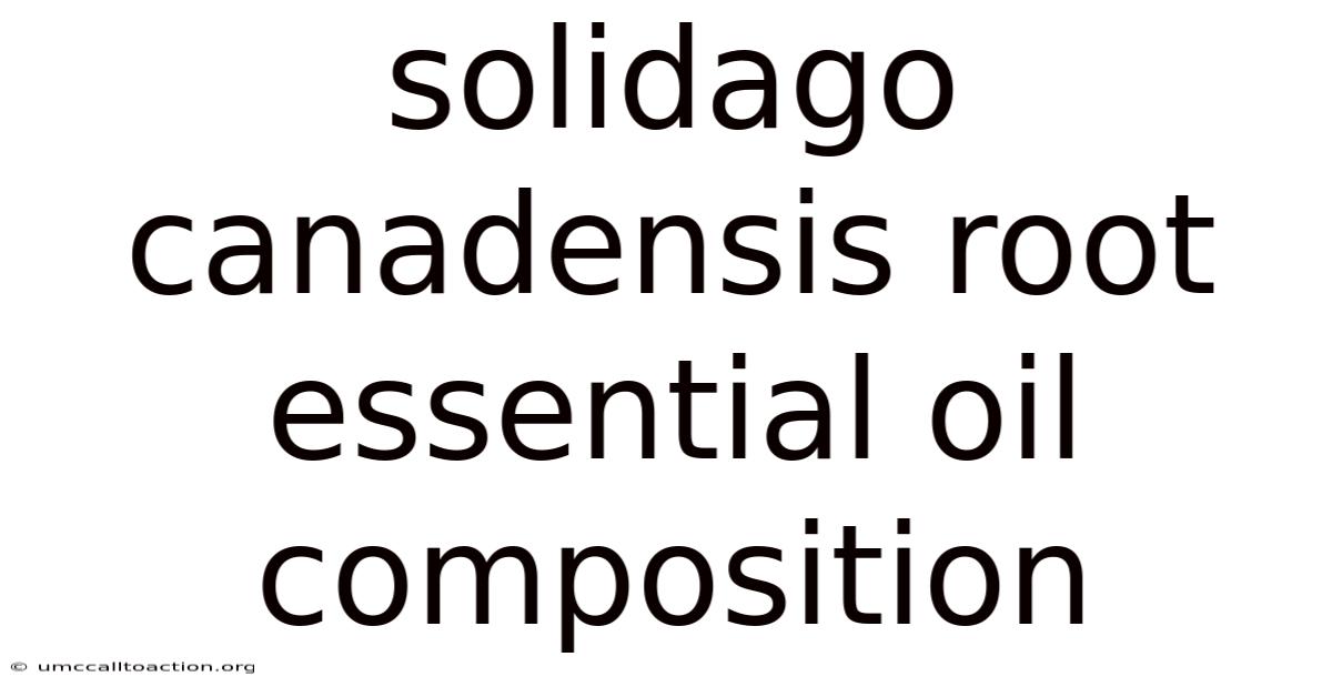 Solidago Canadensis Root Essential Oil Composition
