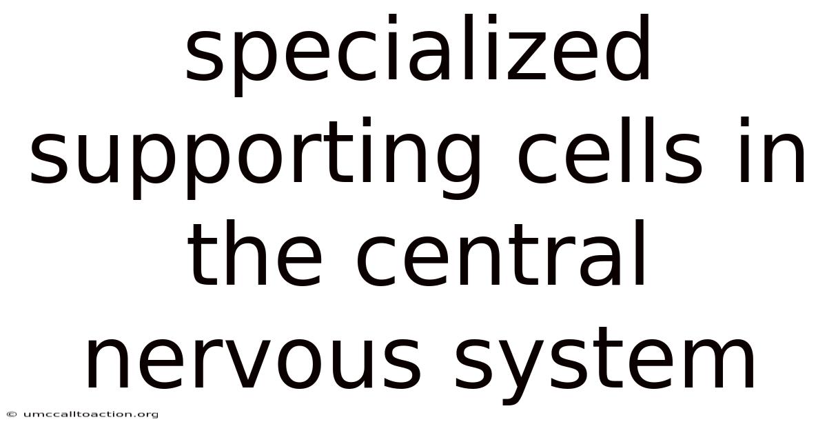 Specialized Supporting Cells In The Central Nervous System