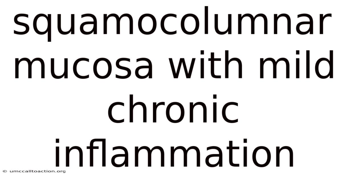 Squamocolumnar Mucosa With Mild Chronic Inflammation
