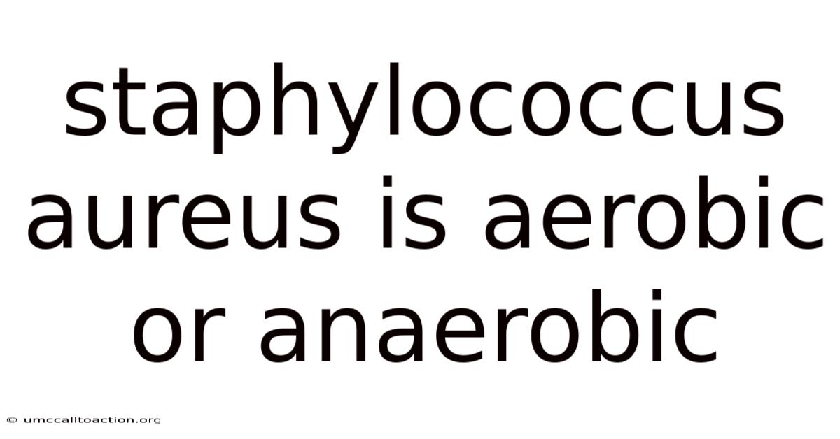 Staphylococcus Aureus Is Aerobic Or Anaerobic