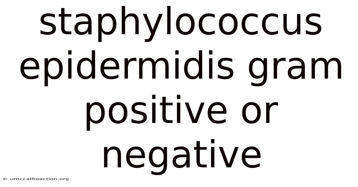 Staphylococcus Epidermidis Gram Positive Or Negative