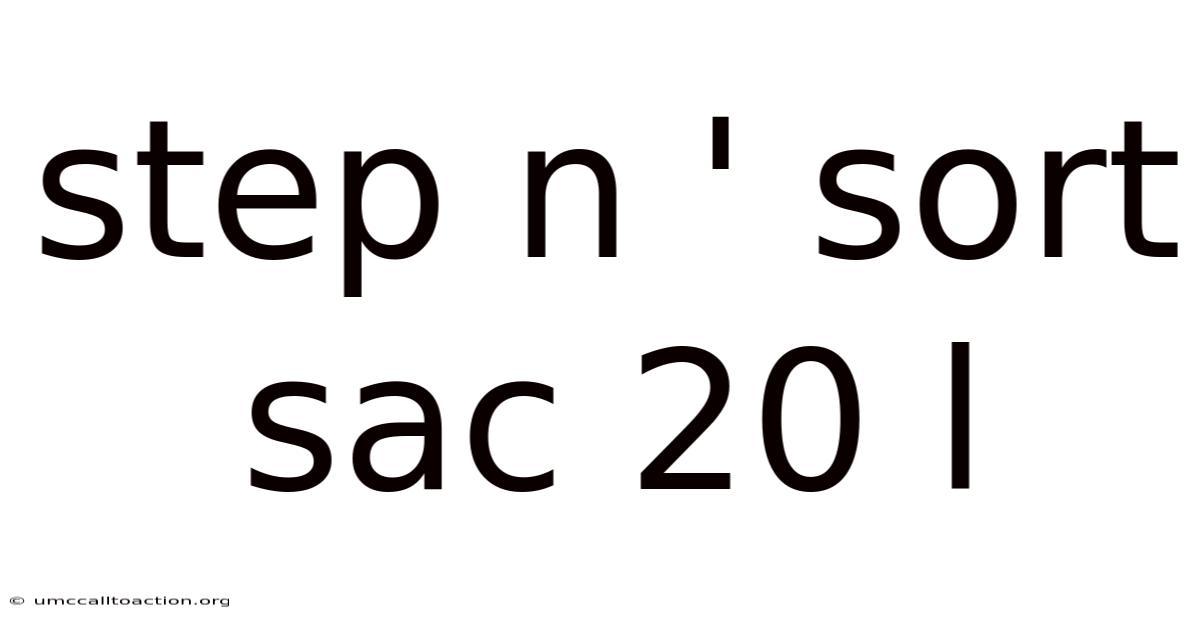 Step N ' Sort Sac 20 L