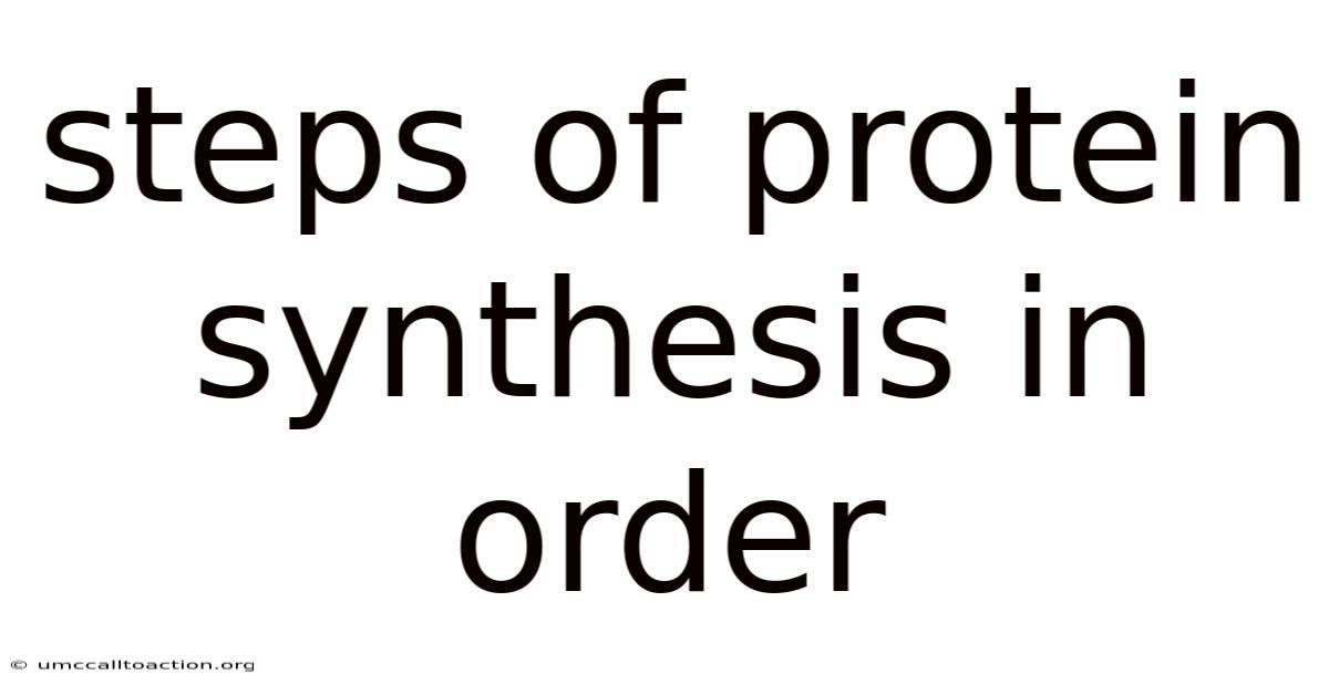 Steps Of Protein Synthesis In Order
