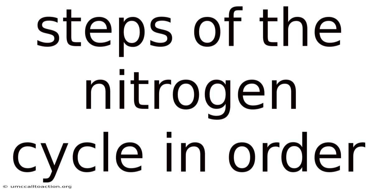 Steps Of The Nitrogen Cycle In Order