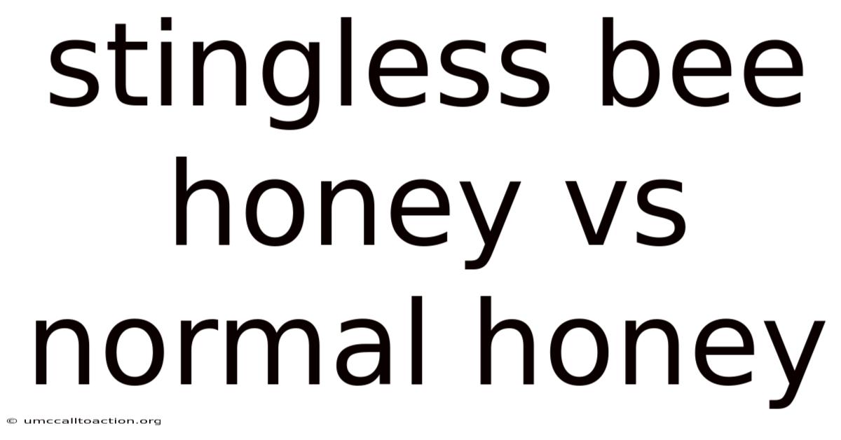 Stingless Bee Honey Vs Normal Honey