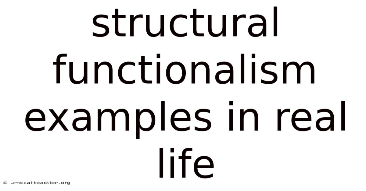 Structural Functionalism Examples In Real Life