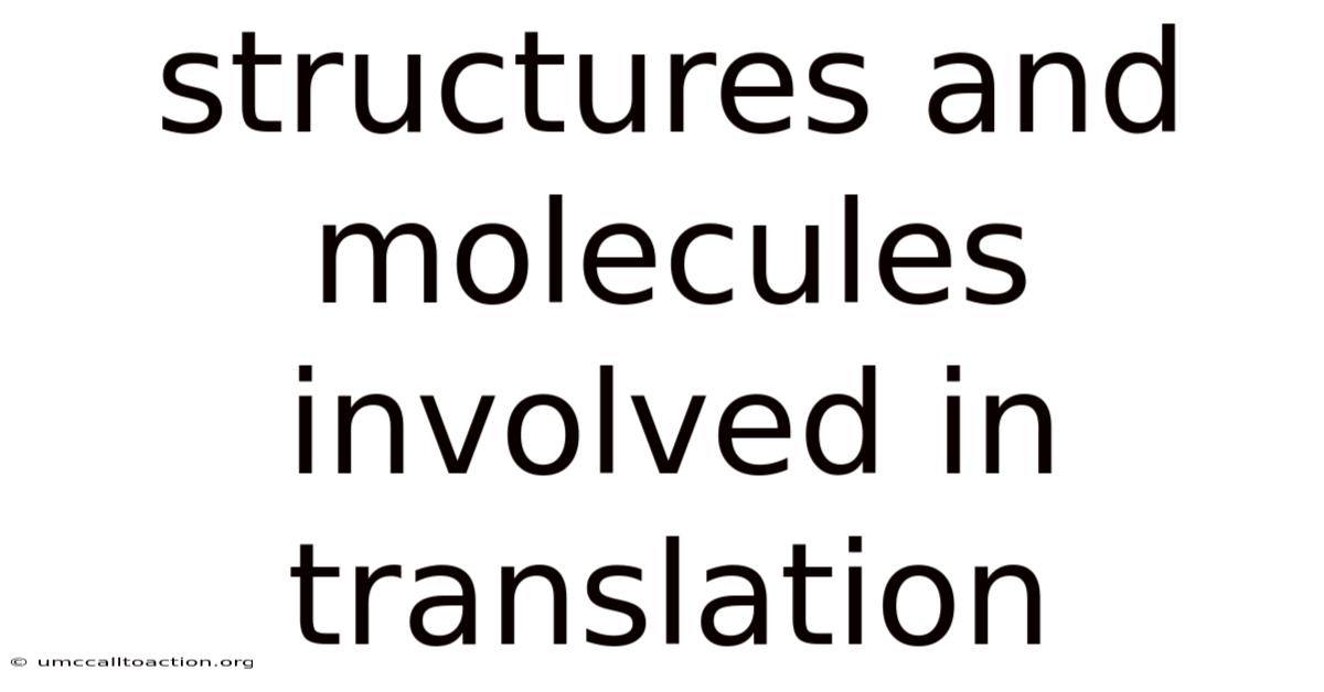 Structures And Molecules Involved In Translation