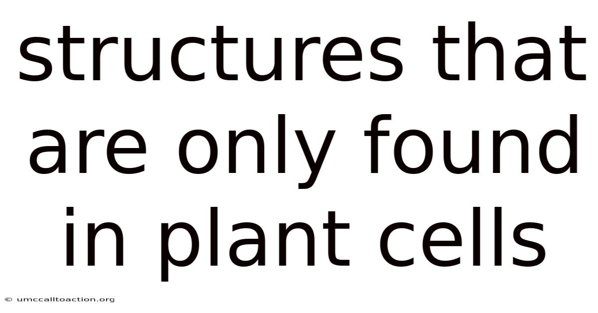 Structures That Are Only Found In Plant Cells
