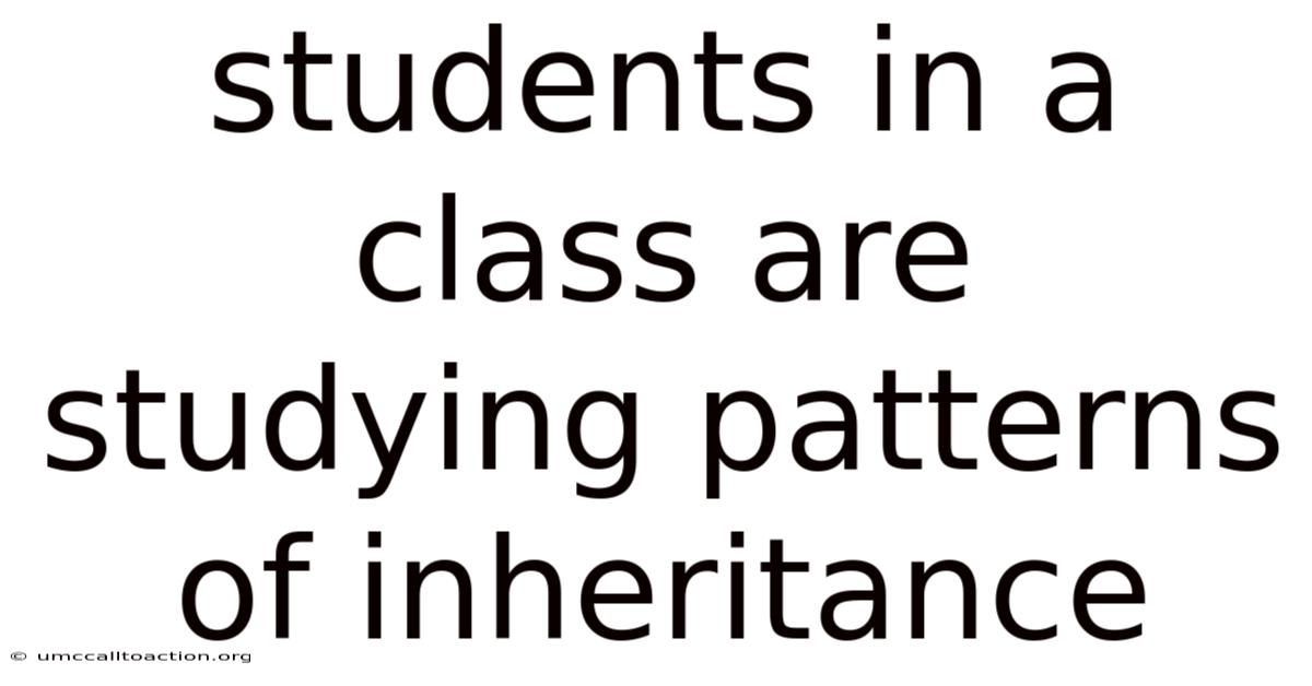 Students In A Class Are Studying Patterns Of Inheritance