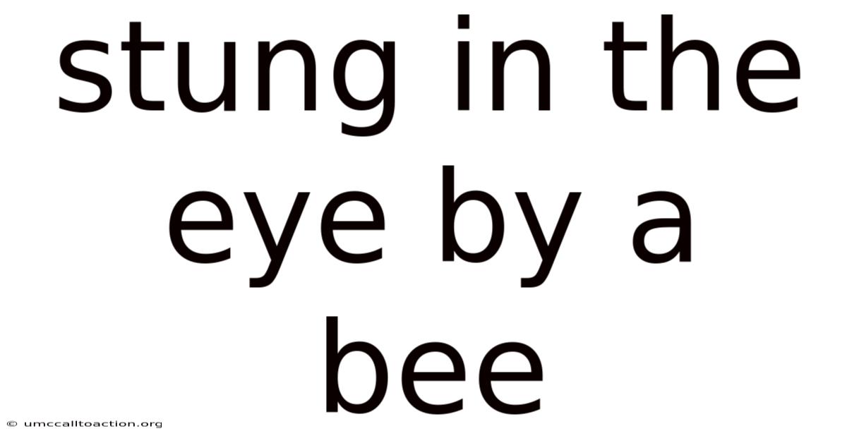 Stung In The Eye By A Bee