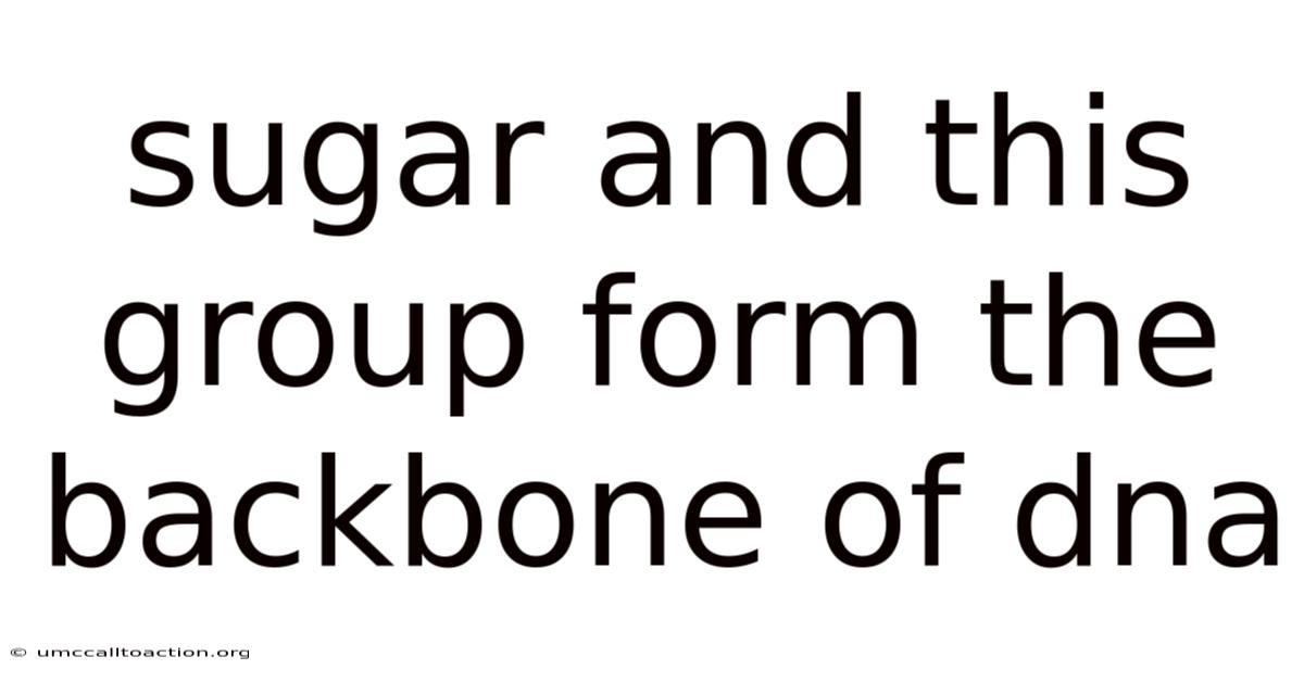 Sugar And This Group Form The Backbone Of Dna