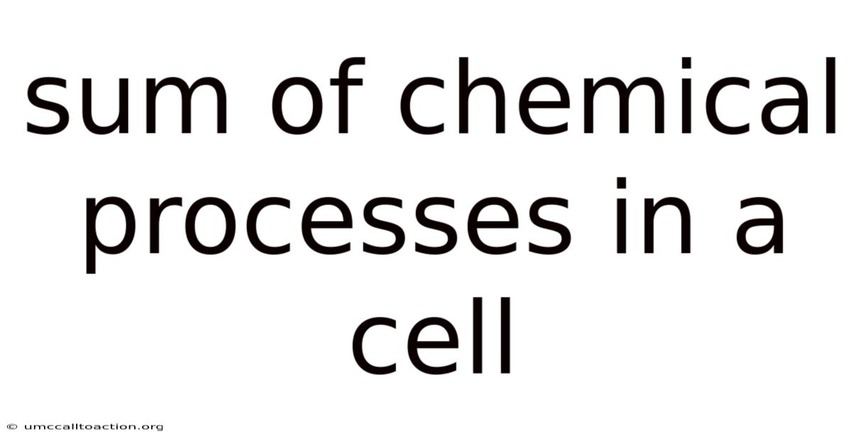 Sum Of Chemical Processes In A Cell