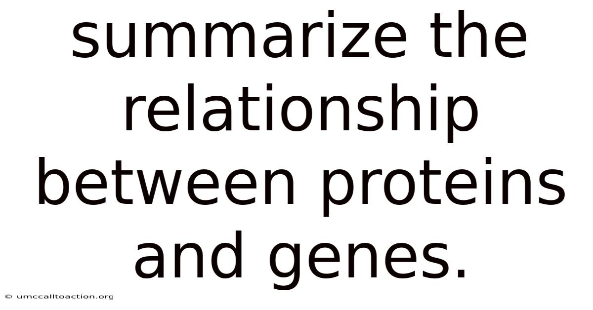 Summarize The Relationship Between Proteins And Genes.