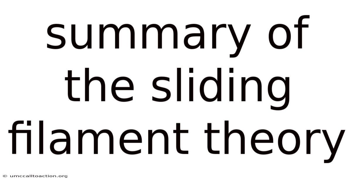 Summary Of The Sliding Filament Theory