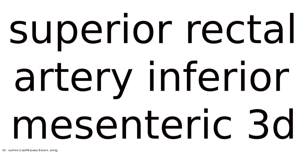 Superior Rectal Artery Inferior Mesenteric 3d