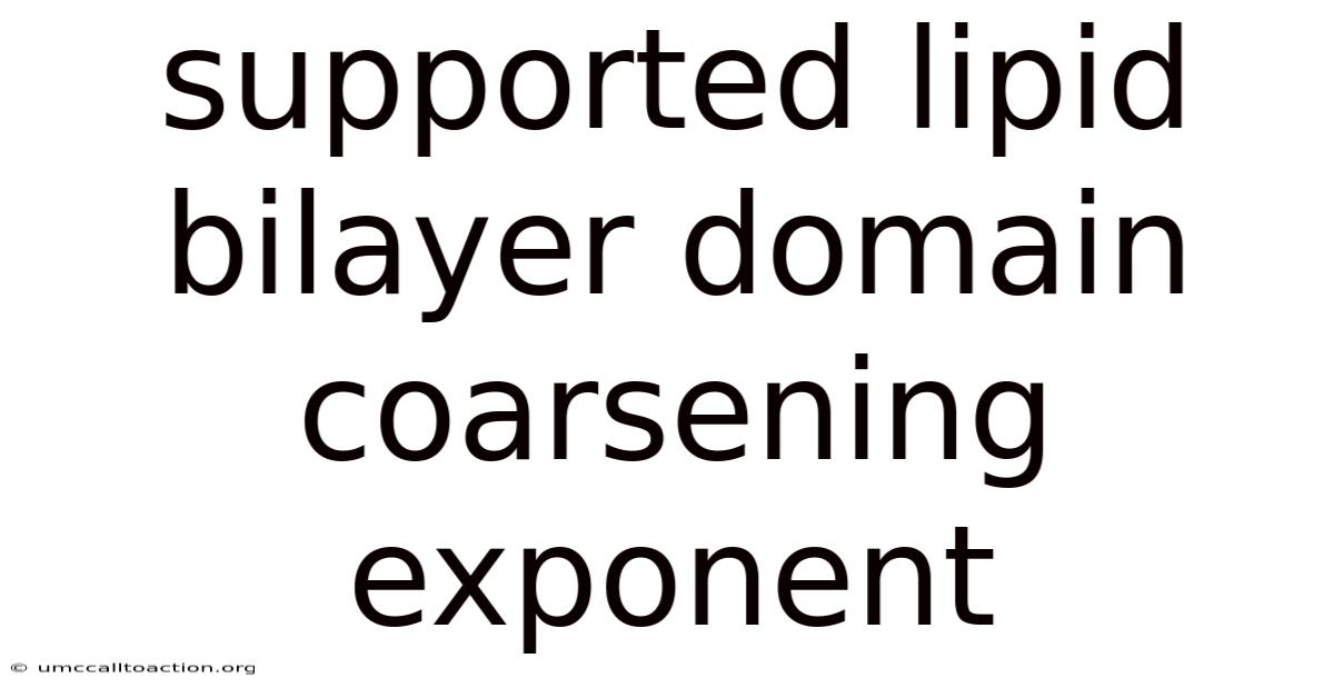 Supported Lipid Bilayer Domain Coarsening Exponent