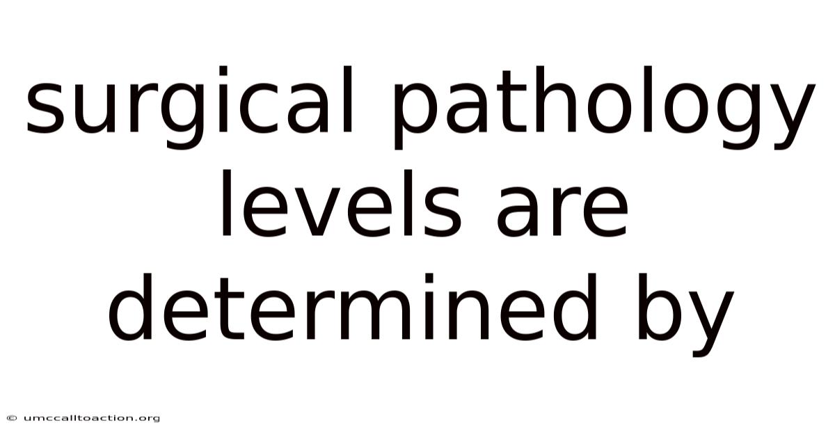 Surgical Pathology Levels Are Determined By