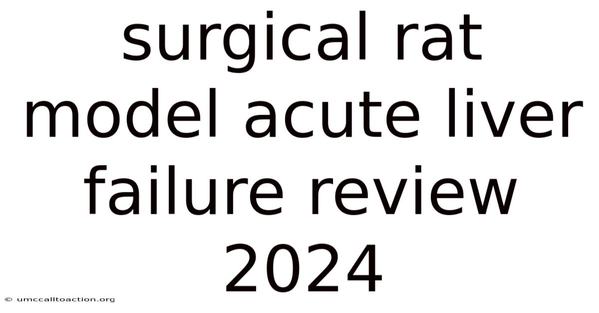 Surgical Rat Model Acute Liver Failure Review 2024