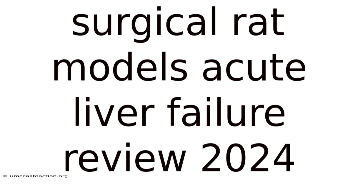 Surgical Rat Models Acute Liver Failure Review 2024