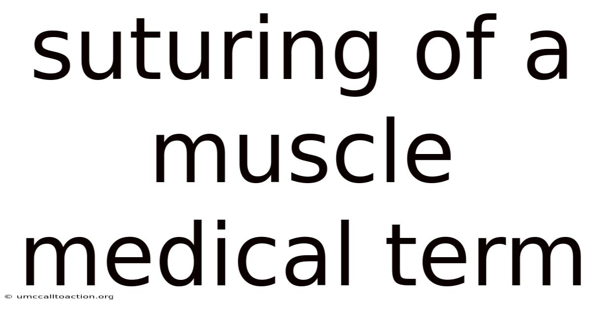 Suturing Of A Muscle Medical Term