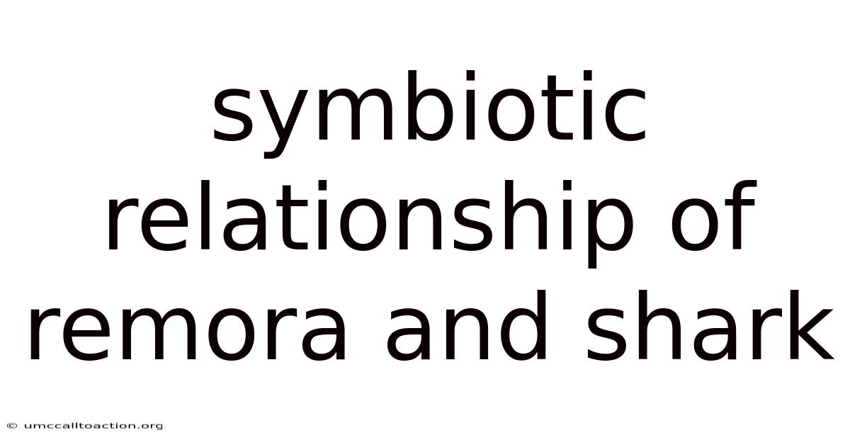 Symbiotic Relationship Of Remora And Shark