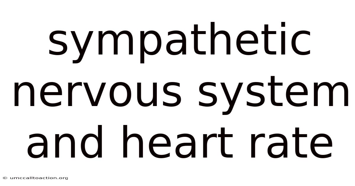 Sympathetic Nervous System And Heart Rate